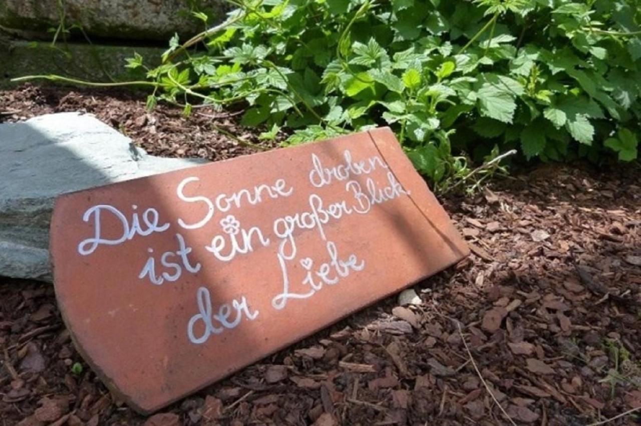 Der Breinhof - Euer Urlaubsbauernhof Apartamento Waldkirchen Exterior foto