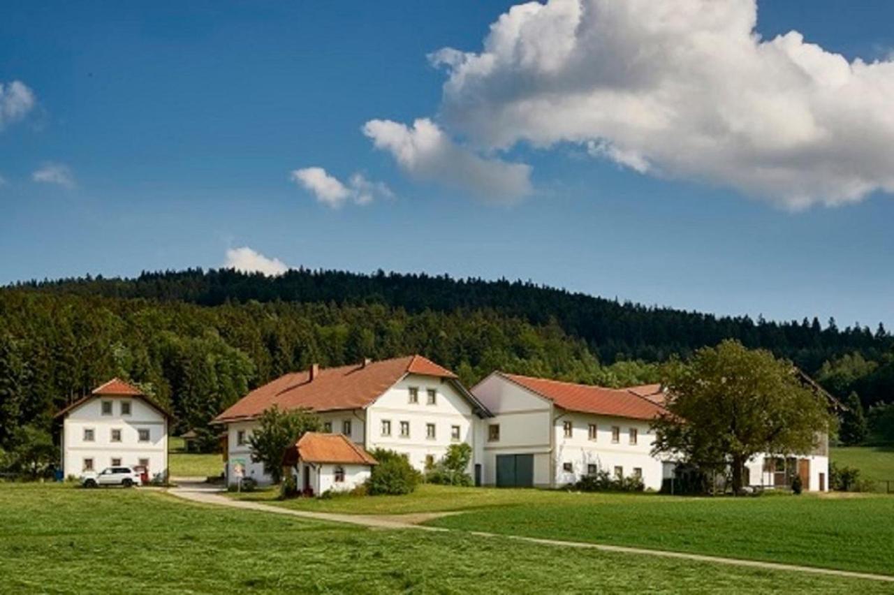 Der Breinhof - Euer Urlaubsbauernhof Apartamento Waldkirchen Exterior foto